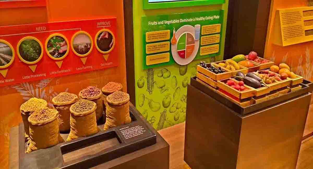 India’s first Food Museum opens in Thanjavur