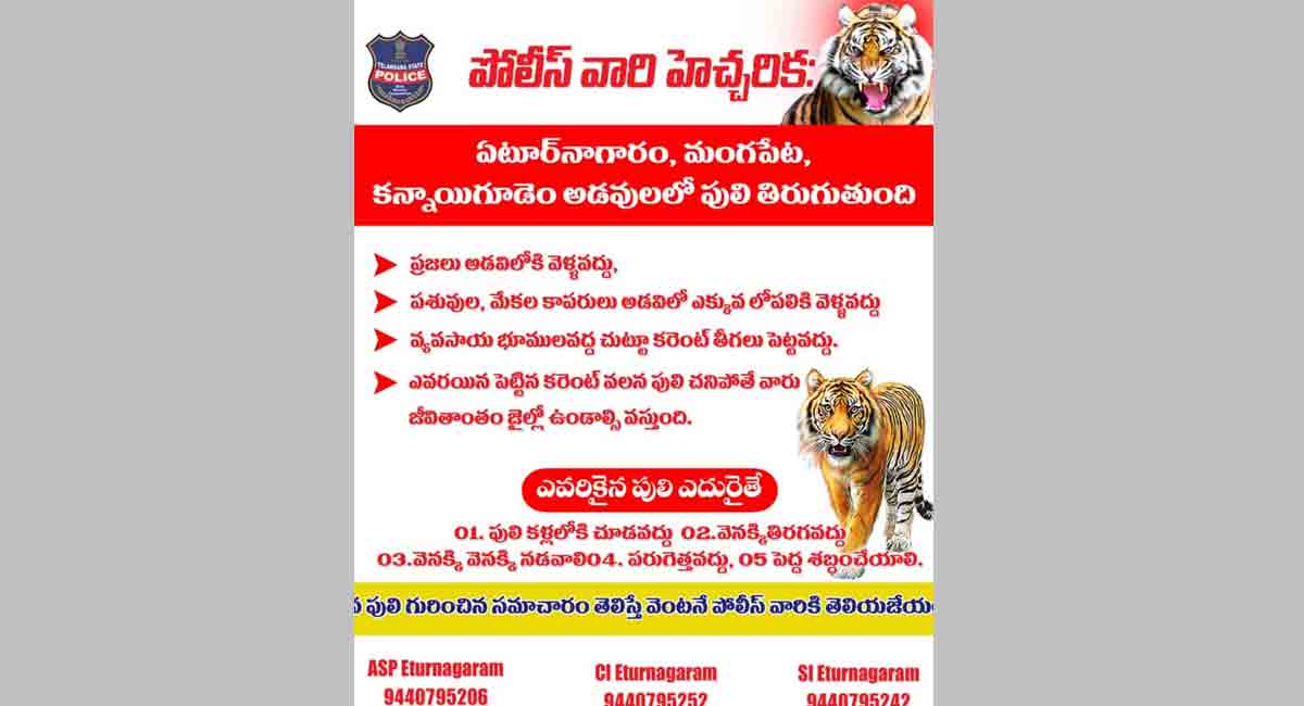 Telangana: Villagers cautioned not to harm tiger on the prowl