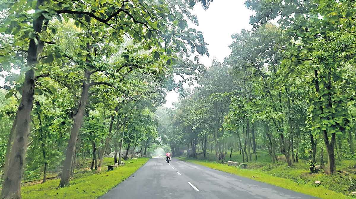 A visit to Mancherial’s Jannaram this winter will not disappoint you