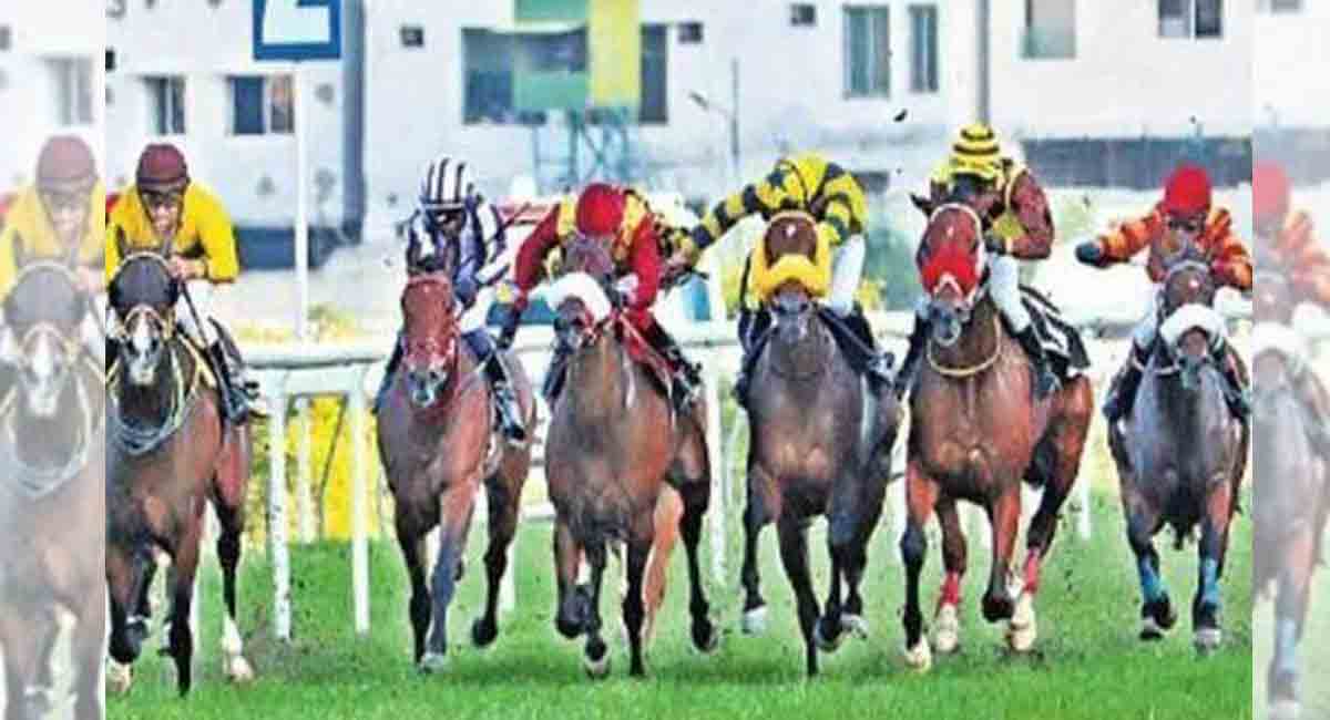 Multifaceted holds an edge in Bengaluru races