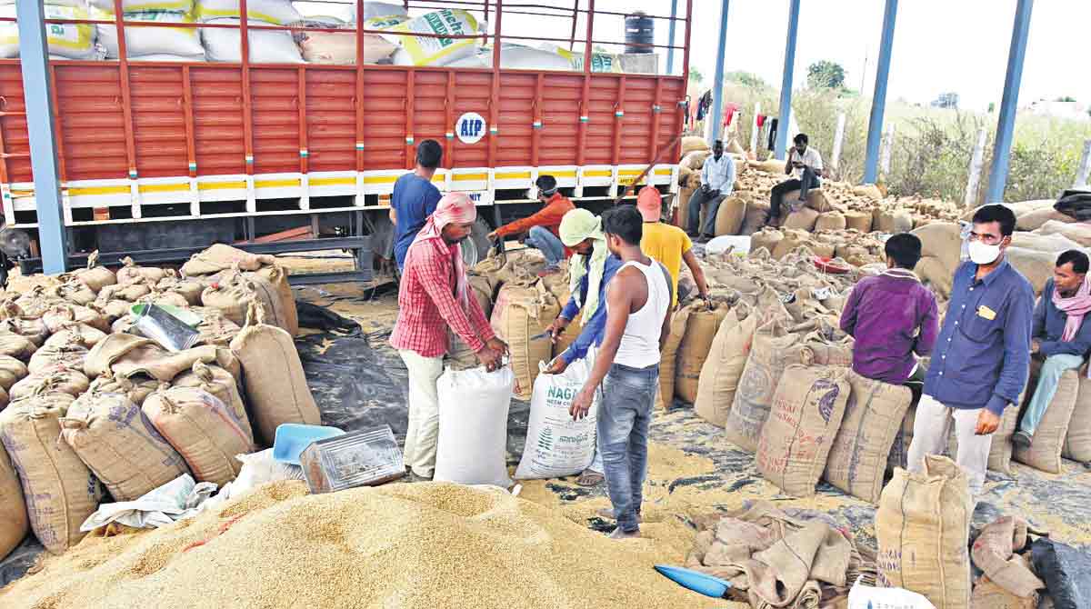 Opinion: Purchase paddy or perish politically