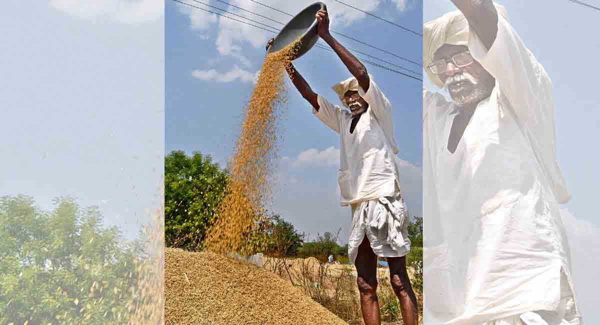 Apathetic governance, agonised farmers