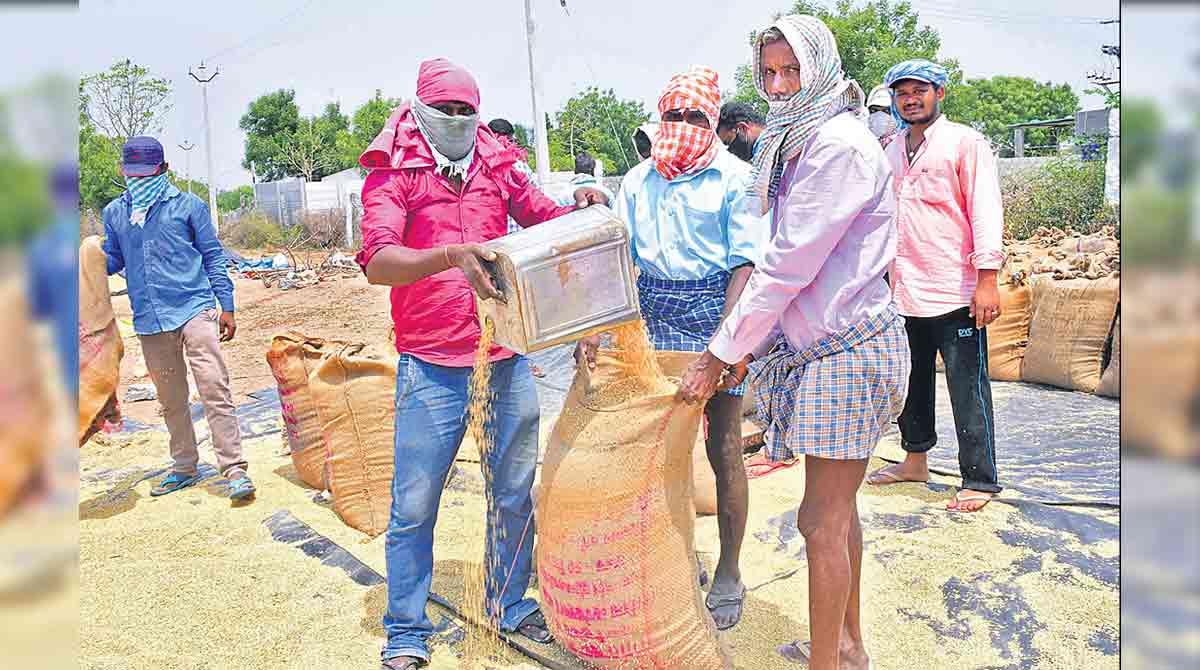 ‘Telangana purchased 5.06 cr tonnes paddy in last 7 years’