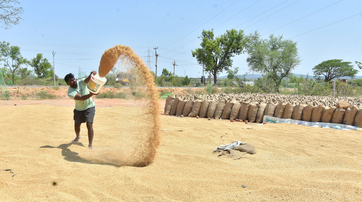 Paddy purchase: BJP stands exposed