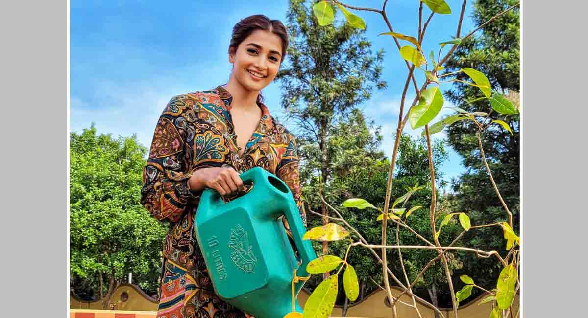 Pooja Hegde takes part in Green India Challenge
