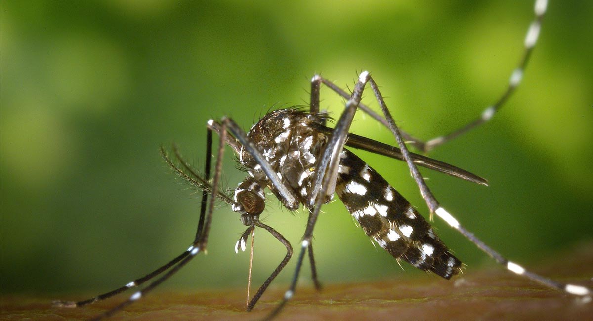 Six more Zika virus cases in UP’s Kanpur, tally reaches 10
