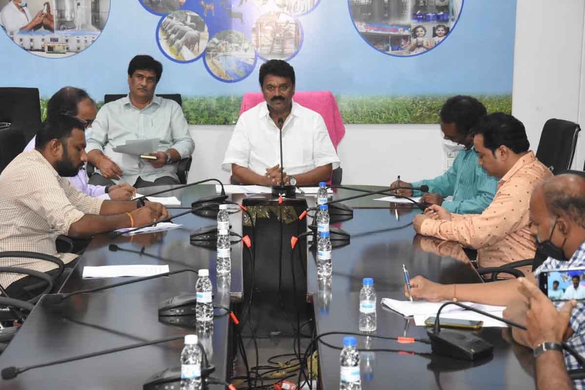 No Central funding for sheep distribution scheme: Talasani