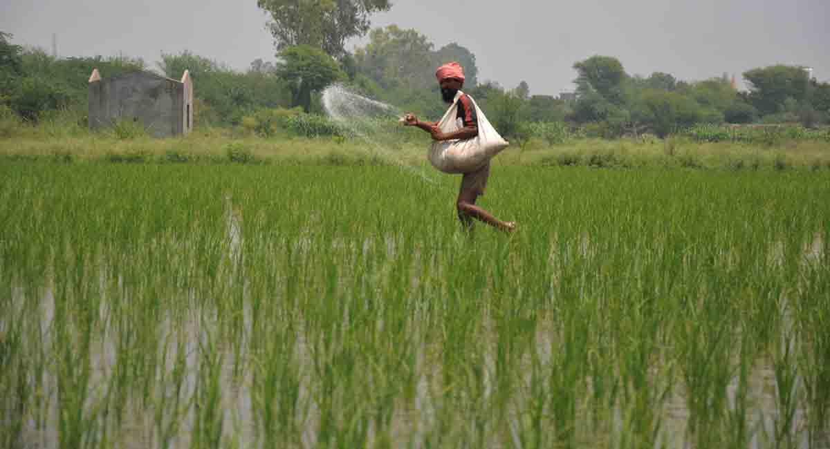 Telangana seeks timely supply of fertilizers from Centre