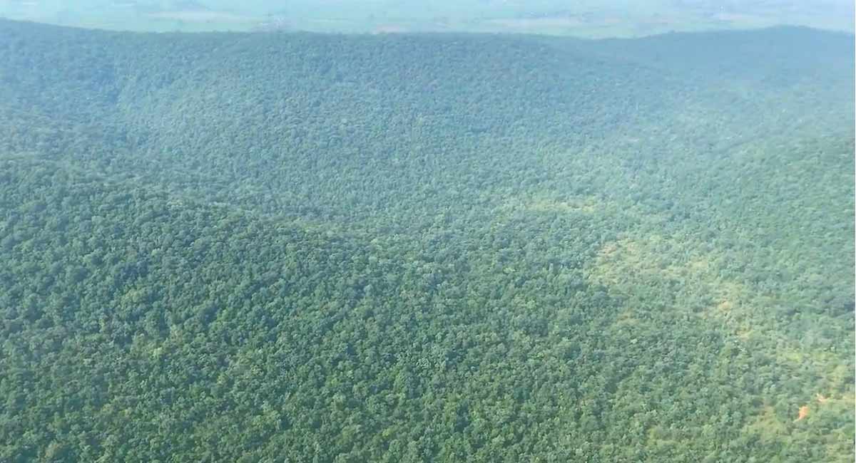 Telangana’s green initiative wins praise from former UNEP chief again