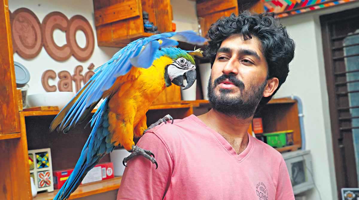 This colorful Macaw entertains diners at this Hyderabad cafe
