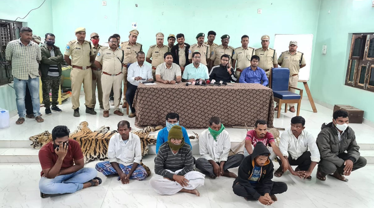 Nine held for possessing, poaching of tiger skin in Asifabad