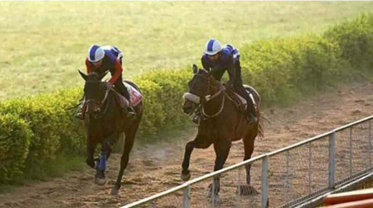 Makhtoob, Monarchos please in morning trials 
