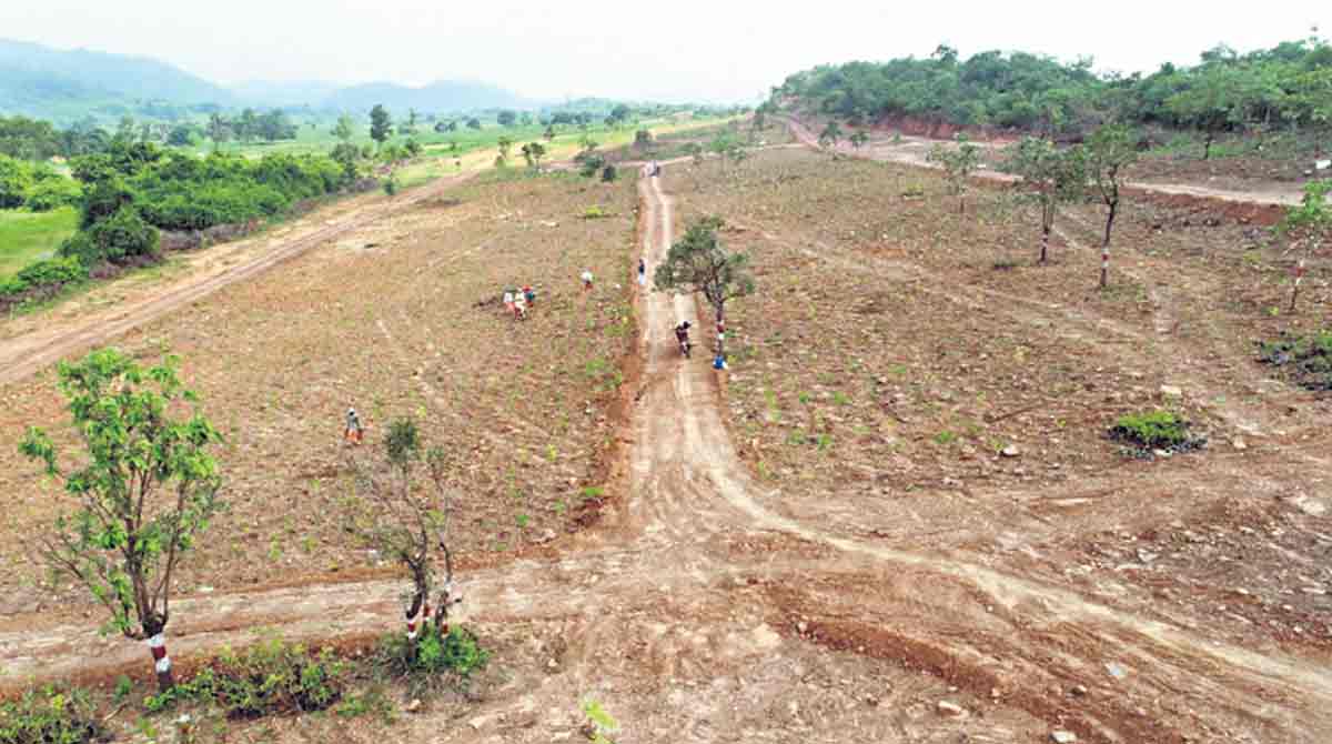 Kothagudem: Works on Bruhat Prakruthi Vanams at brisk pace