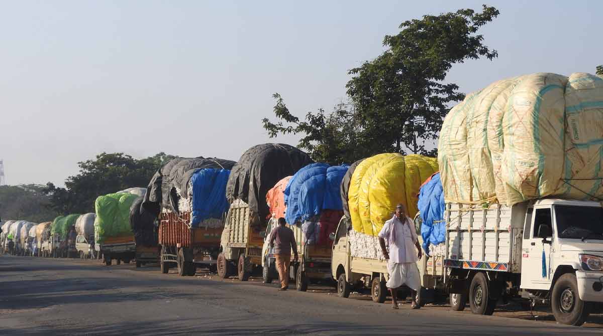 Cotton price continues to skyrocket in Adilabad