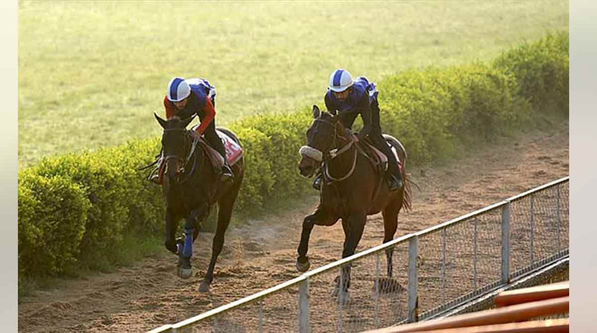 Busy, Silver Bells shine in morning trials