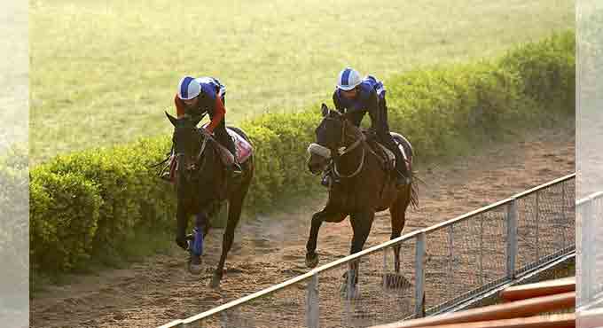City Of Bliss, Cosmico shine in morning trials