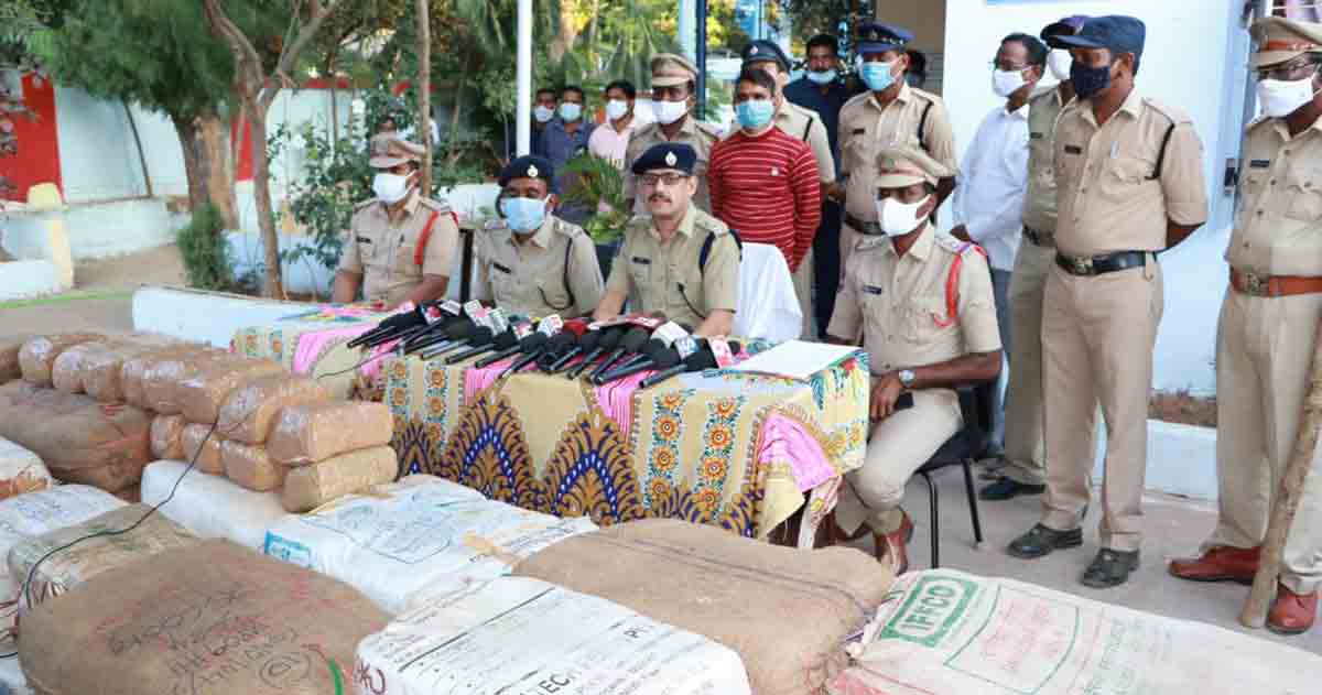 Ganja worth Rs 1.65 crore seized in Kothagudem