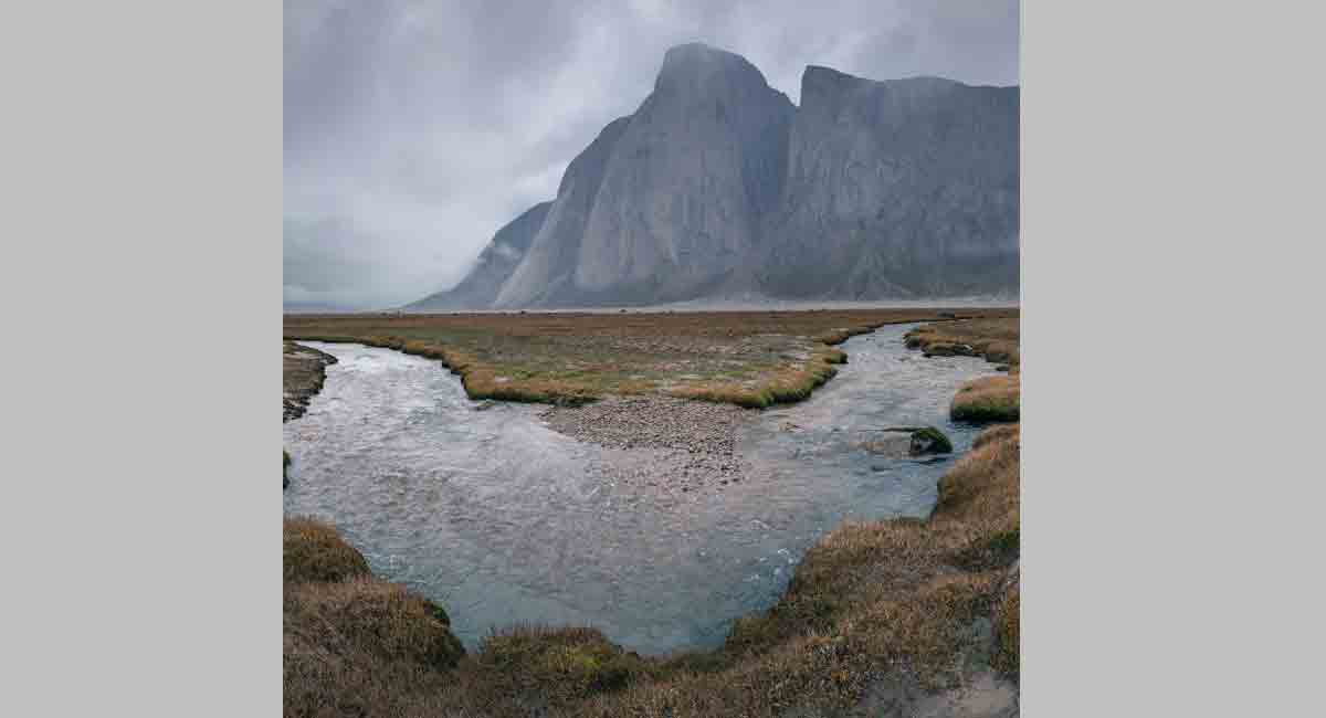 Impacts of precipitation on the Arctic