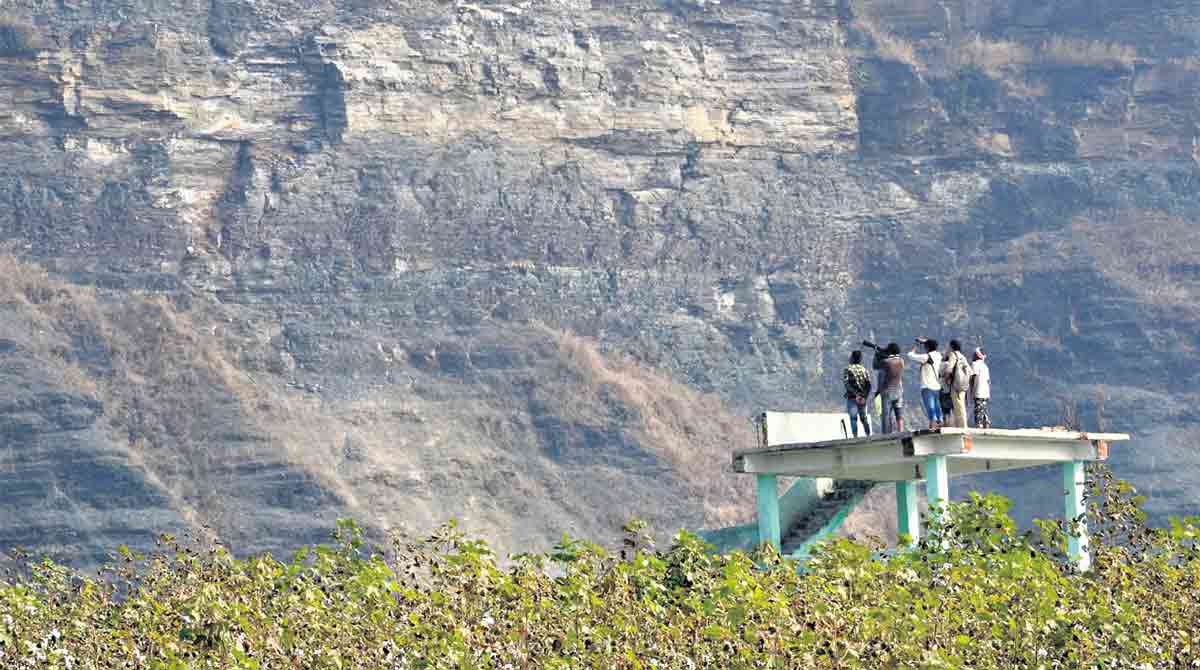 Asifabad: Second edition of Bird Walk Festival on Jan 8, 9