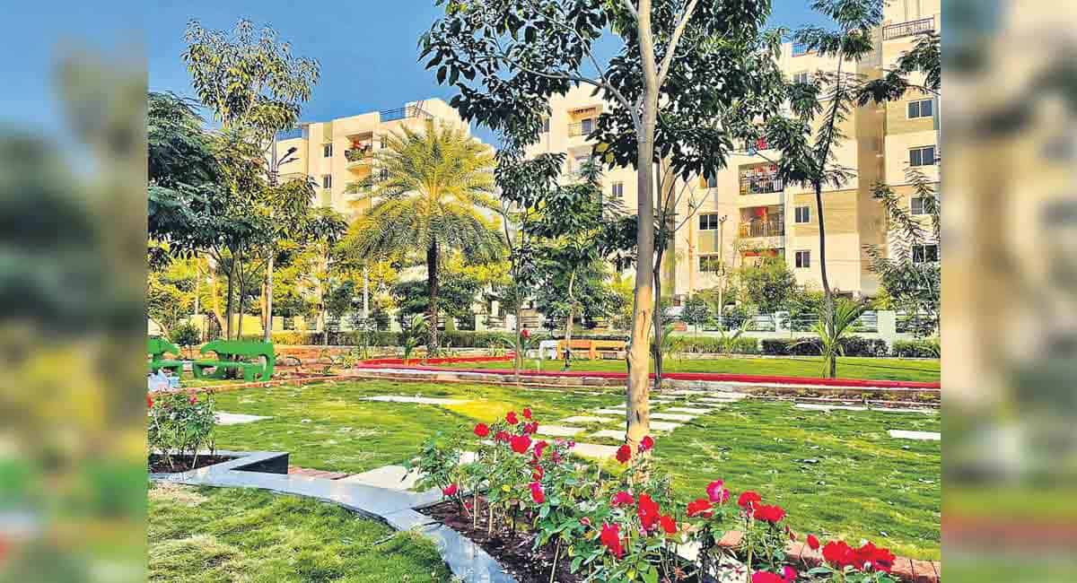 Theme park amid concrete jungle