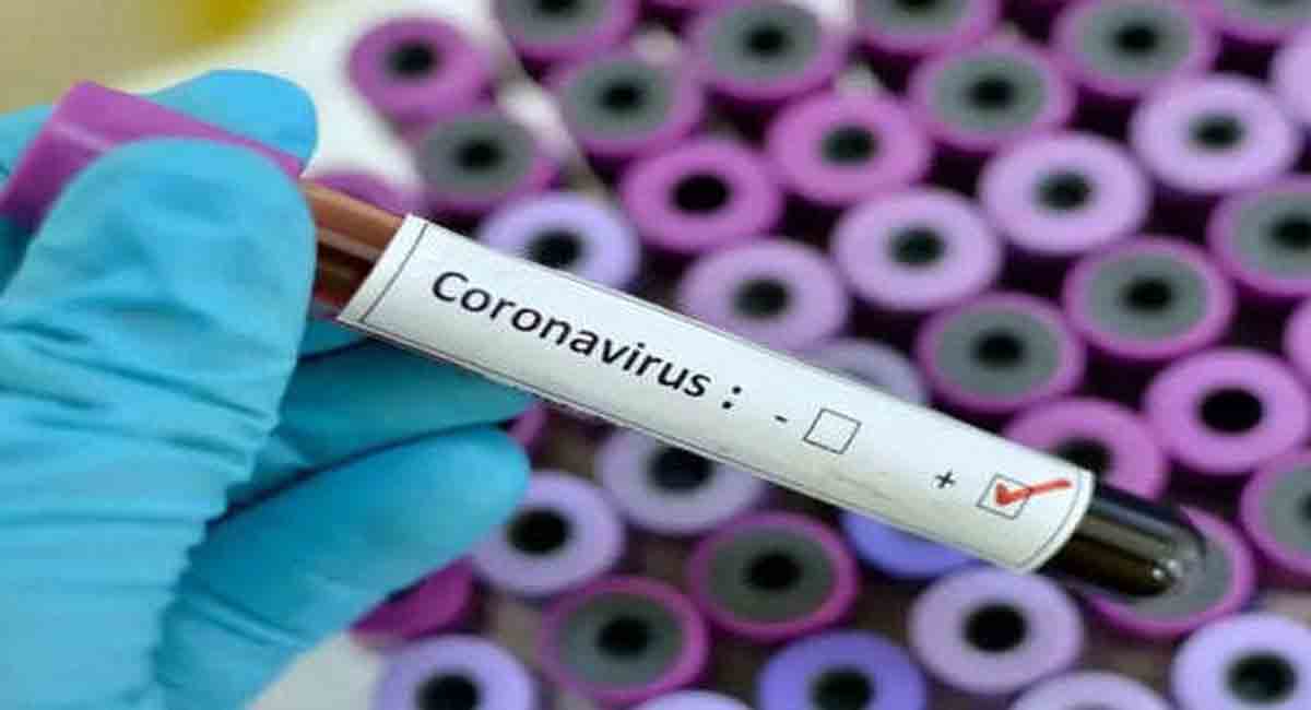 Canada finds first cases of Covid-19 in wildlife