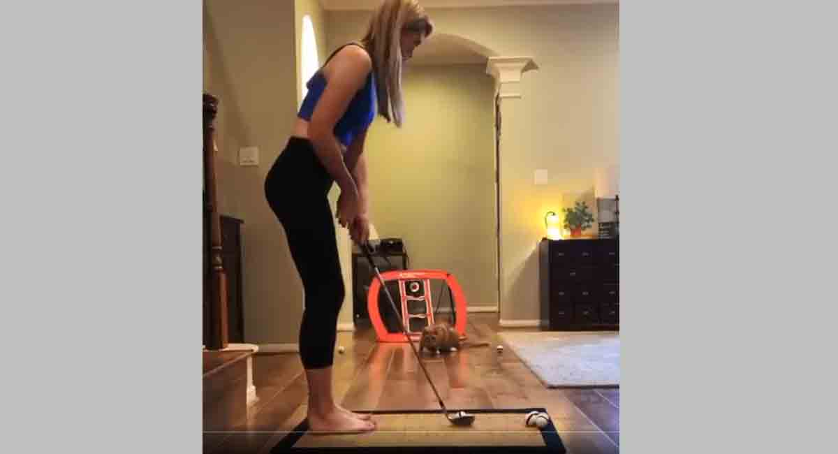 Watch: This cat’s goalkeeping skills will surprise you