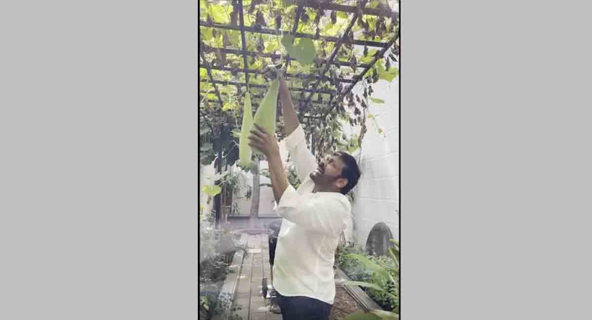 Chiranjeevi shares glimpse of his mini garden at home