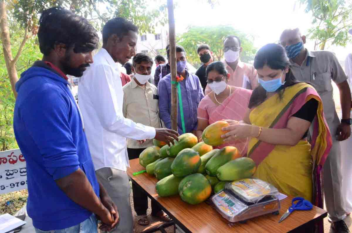 Bhongir Collector directs officials to create awareness on organic farming