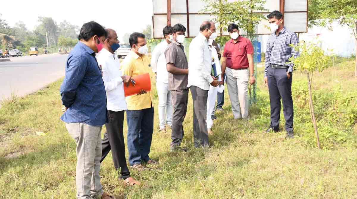 Kothagudem Collector directs officials to develop greenery along roads
