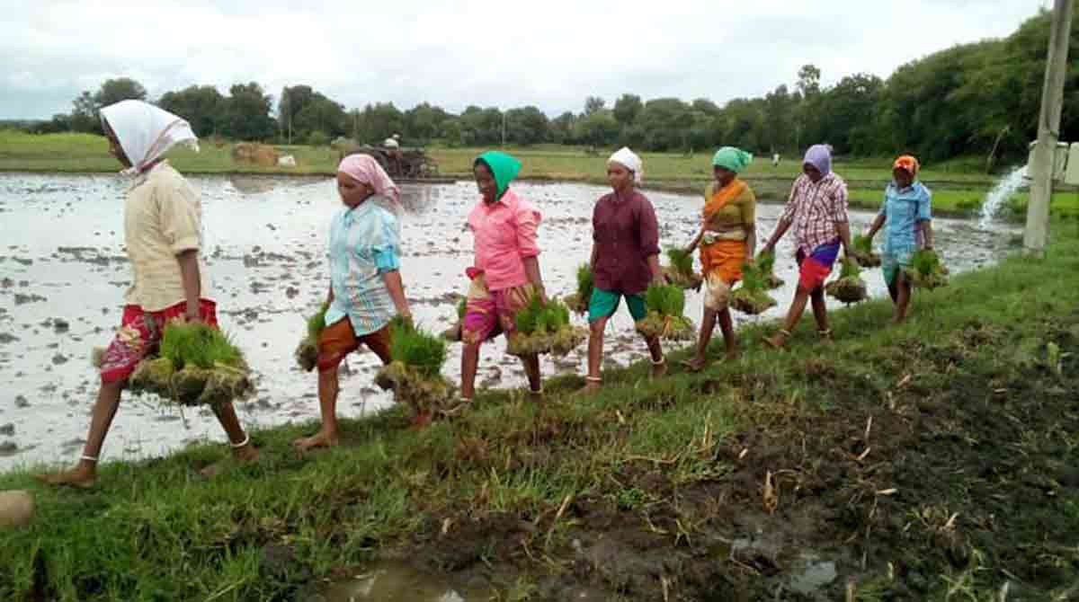 National Farmer’s Day 2021: All you need to know