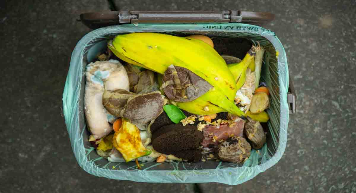 Food waste becomes target