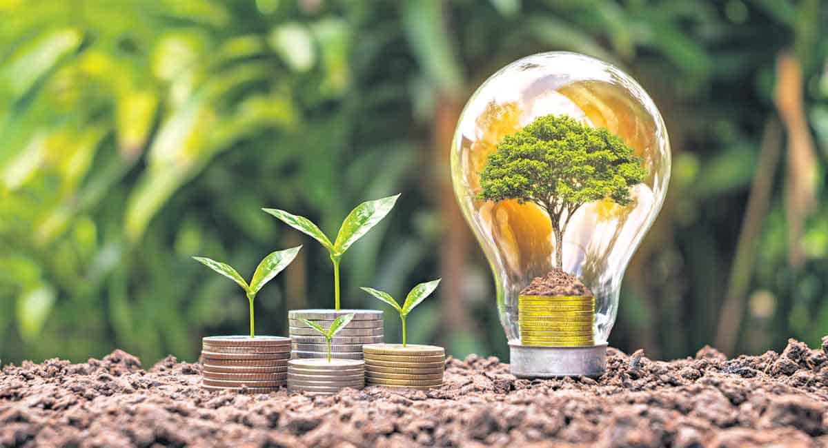 Opinion: Time for Gross Ecosystem Product