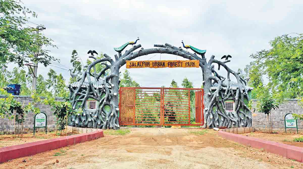 HMDA develops 16 urban forest blocks in two years