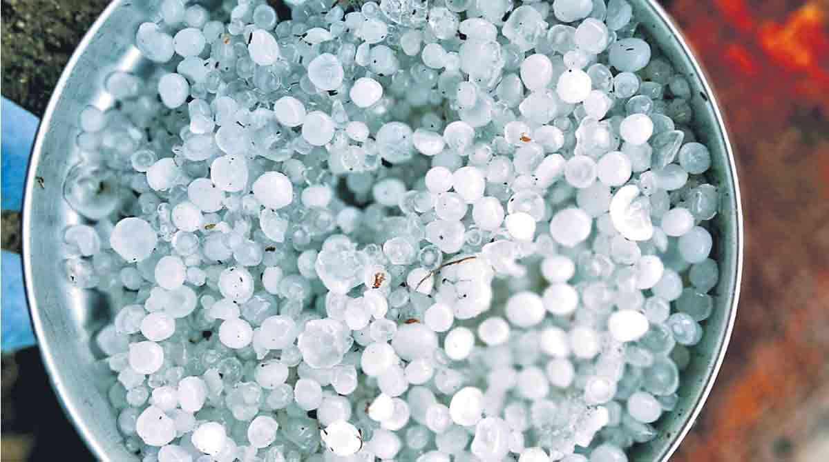 Hailstorm hits parts of Adilabad