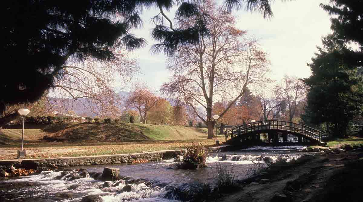 Kashmir beckons Telugu tourists