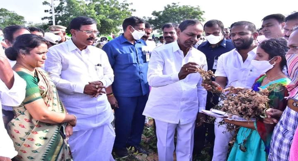 Alternative crops fetch good rates, prevent controversies: CM KCR to farmers