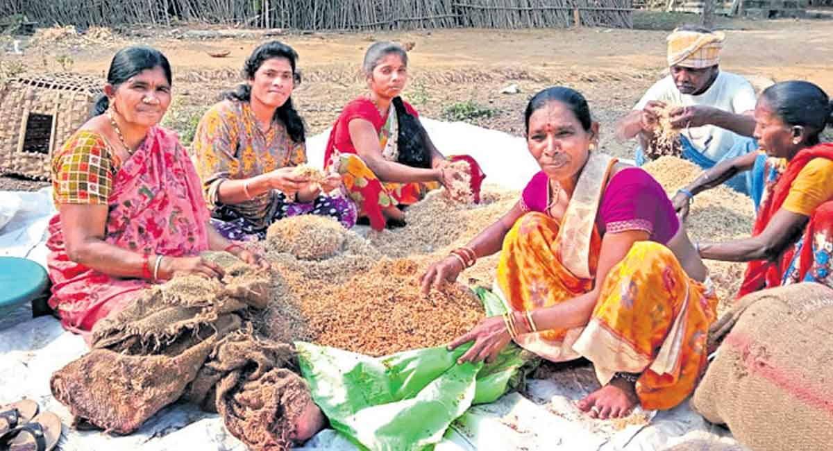 Asifabad’s promising mountaineer turns daily wager