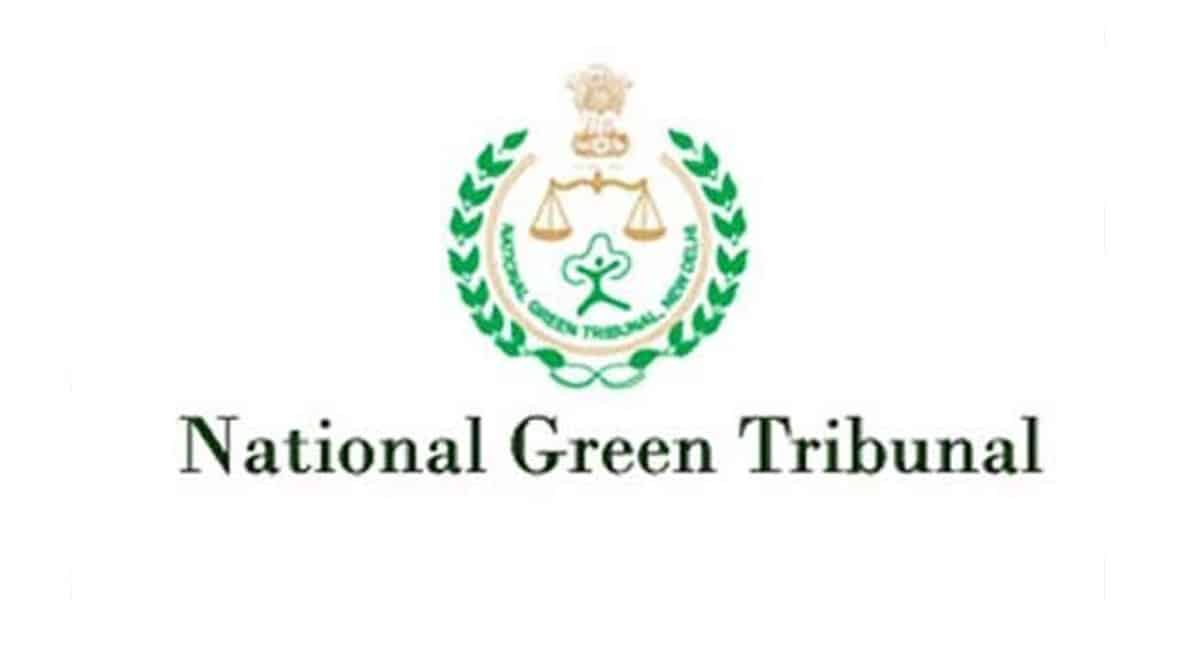 NGT asks Andhra Pradesh to take up RLIS with permissions only