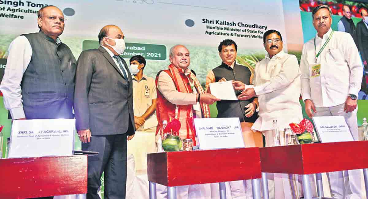 Telangana for more aid to oil palm crops