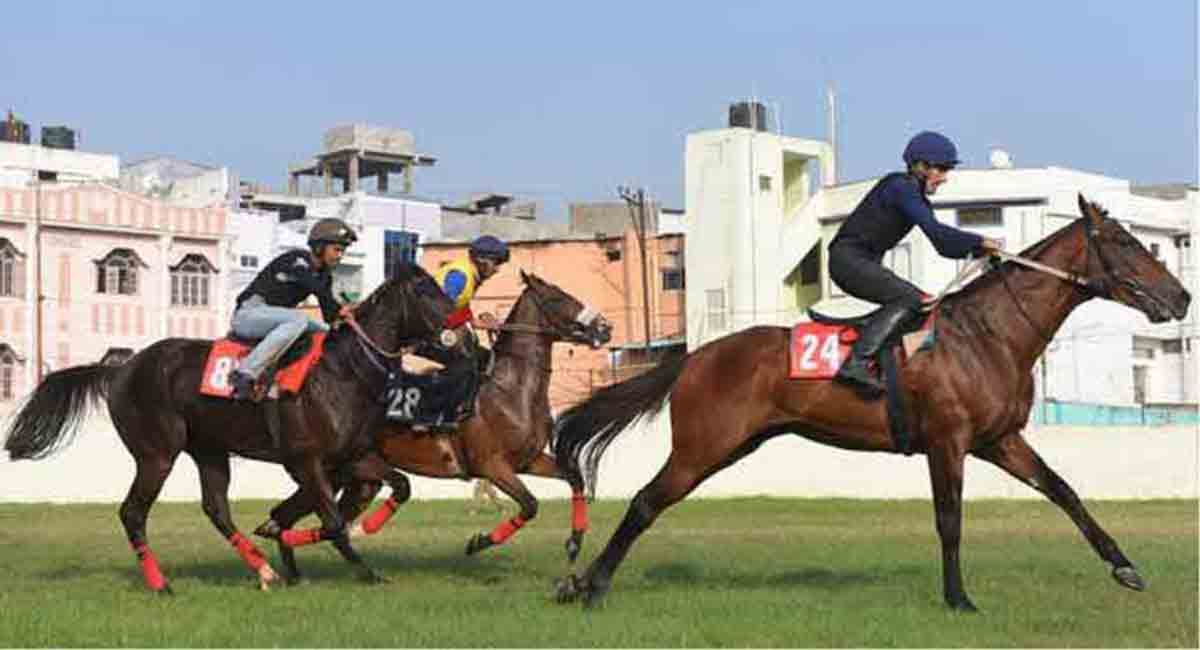 NRI Sugar, Sea Of Class shine in trials