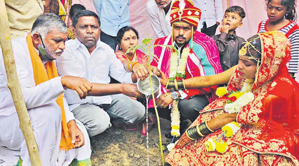 Green India Challenge: Couple plant saplings during wedding in Adilabad
