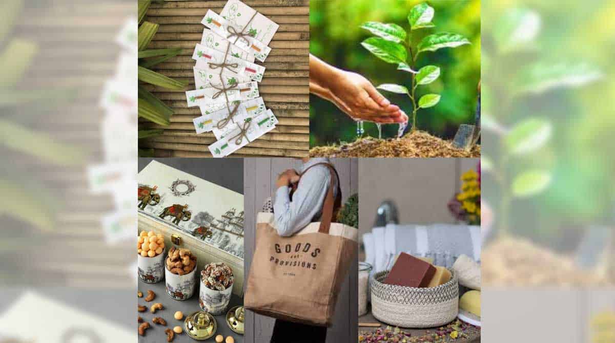Spread some green cheer this Christmas with these earth-friendly gifts