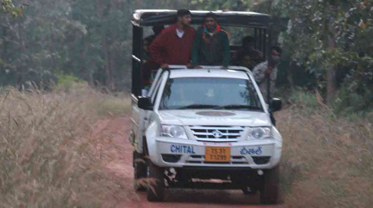 Two new tiger safari circuits in the offing