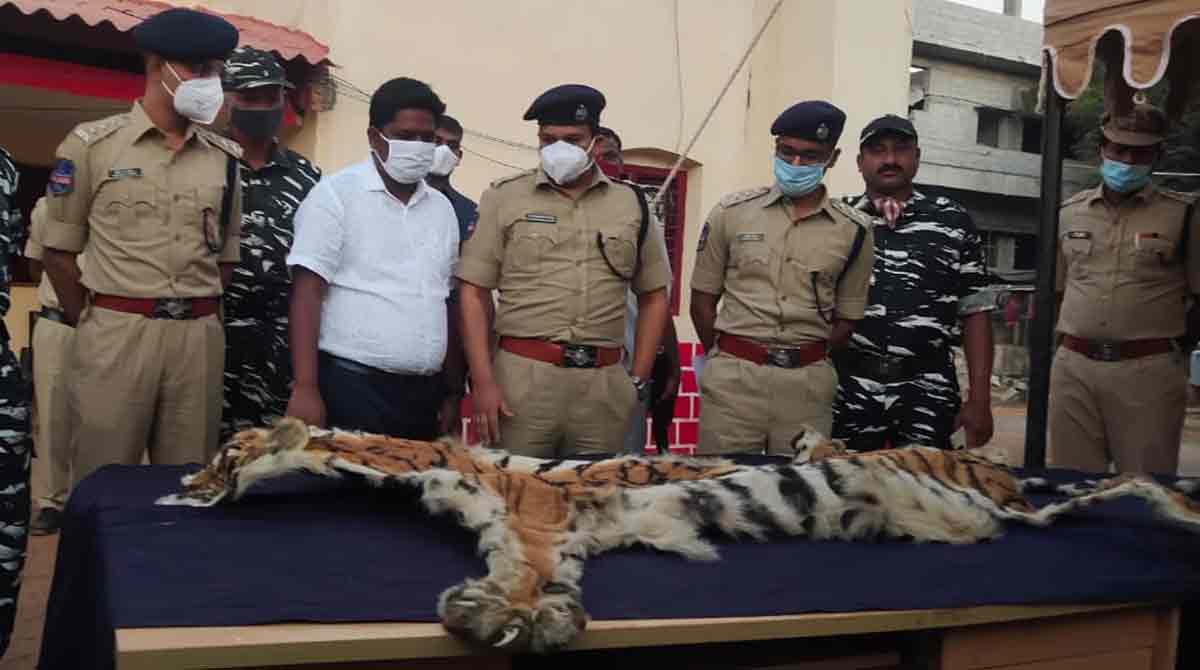 Five persons with tiger hide held in Mulug