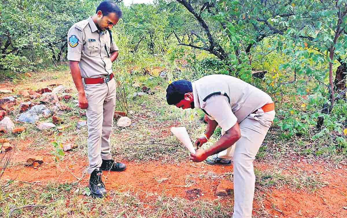 Tiger count up in Telangana