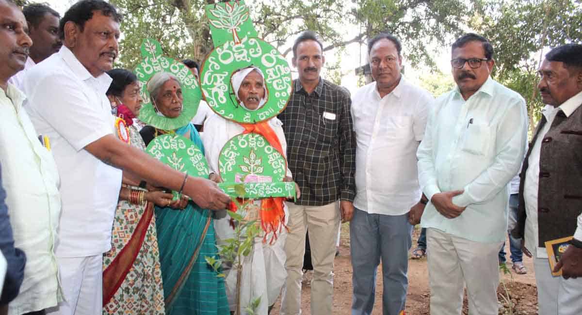 Padma Shri Vanajeevi Ramaiah takes part in Green India Challenge