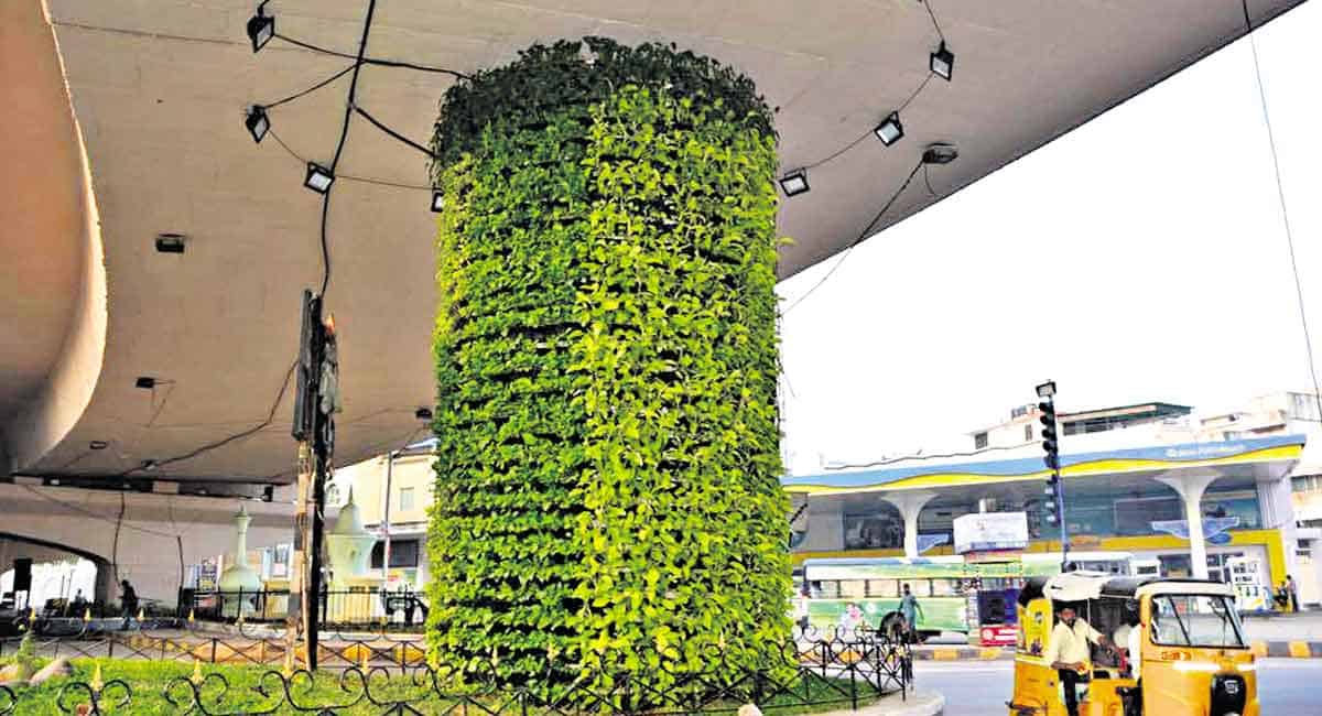 Hyderabad city with maximum vertical gardens