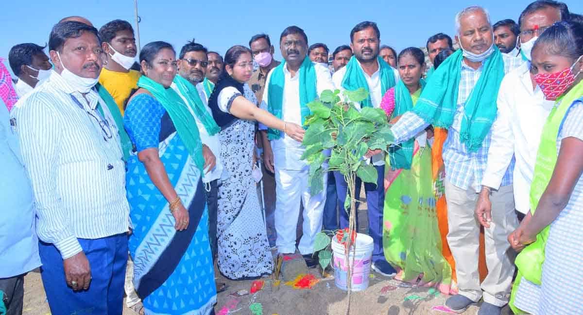 Switch to organic farming: Nalgonda ZP chairman to ryots