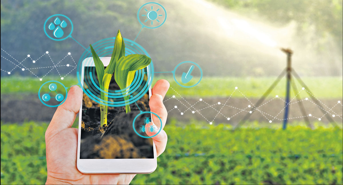 Opinion: Go for Agri-Digital India