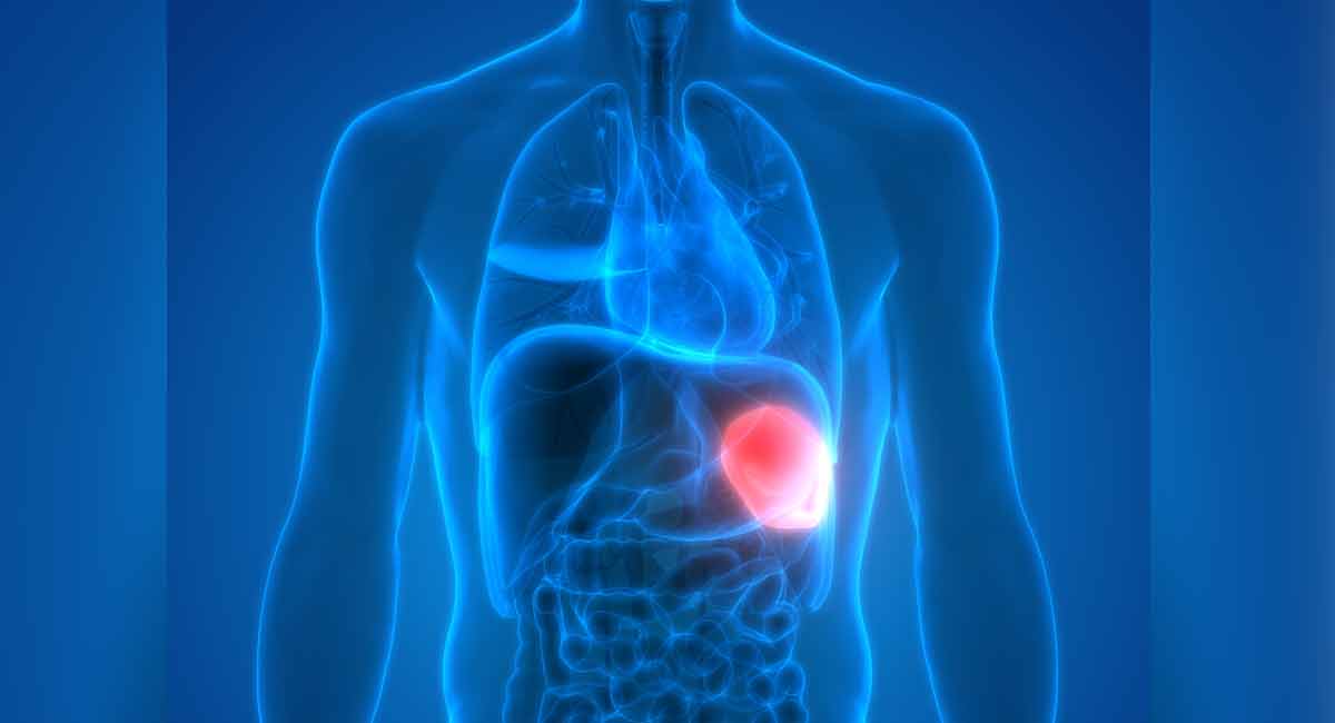 Lymphatic system is body’s natural defence from toxins, waste materials